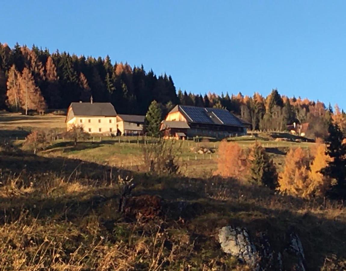 Zum Wohle Aparthotel Oberwoelz Stadt Bagian luar foto
